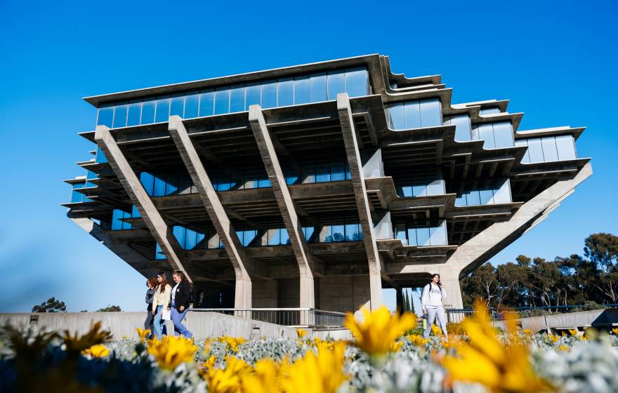 A view of the Geisel Library at UC San Diego on a sunny day, yellow flowers in the foreground