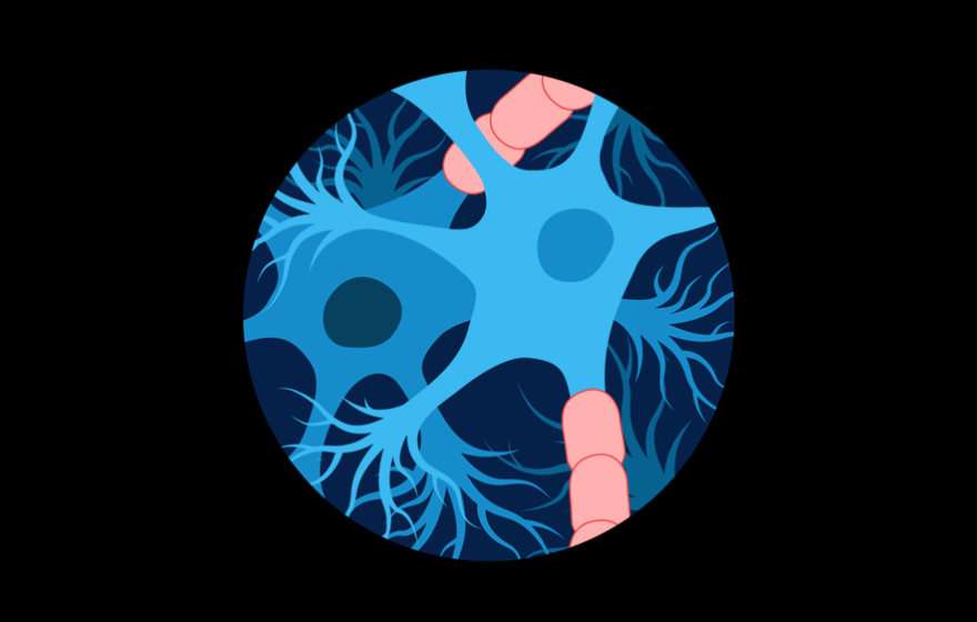 An illustration of the brain's neurons as seen through a peephole