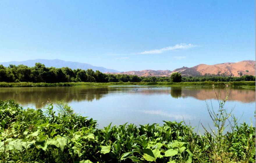 UC Berkeley urban water revolution