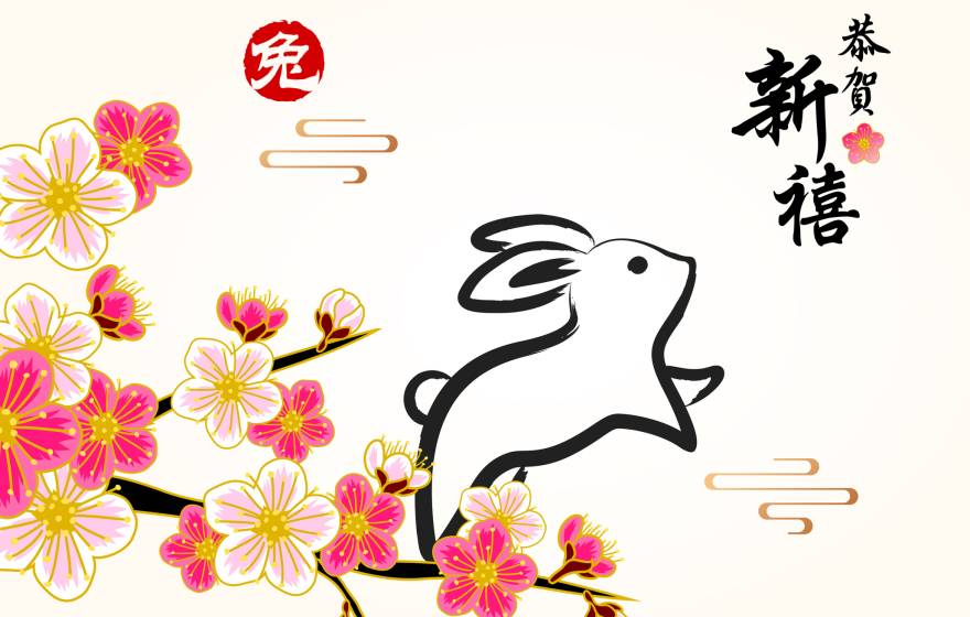 Celebrate Year of the Rabbit 2023 with rabbit Chinese painting on the plum blossom background, the Chinese stamp means rabbit and the vertical Chinese couplet means best wishes for the year to come