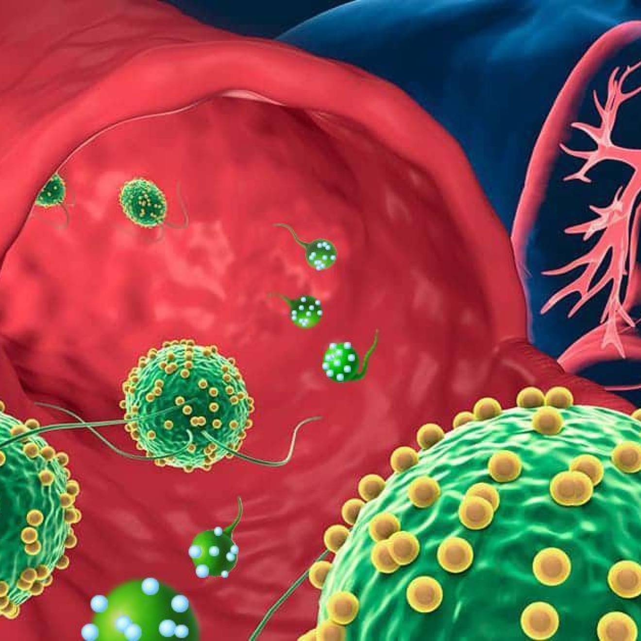 illustrated algae-based microrobots dotted with drug-loaded nanoparticles on their way into the lungs