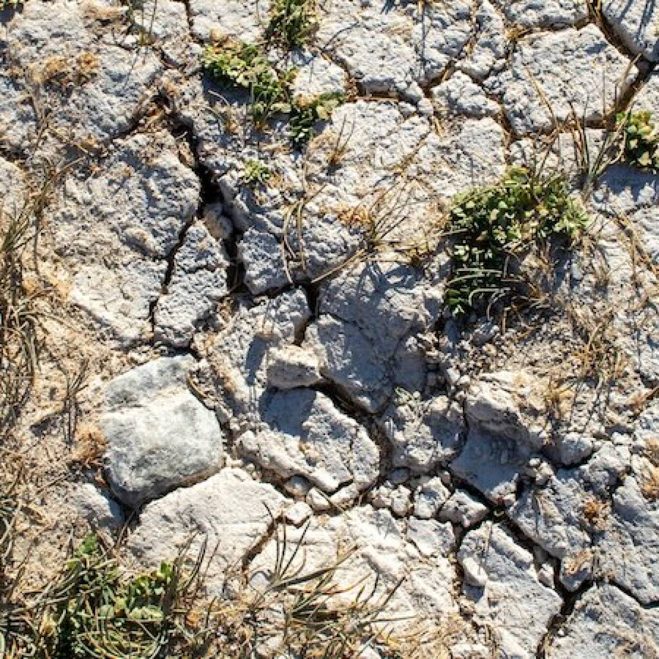 Dry, cracked earth