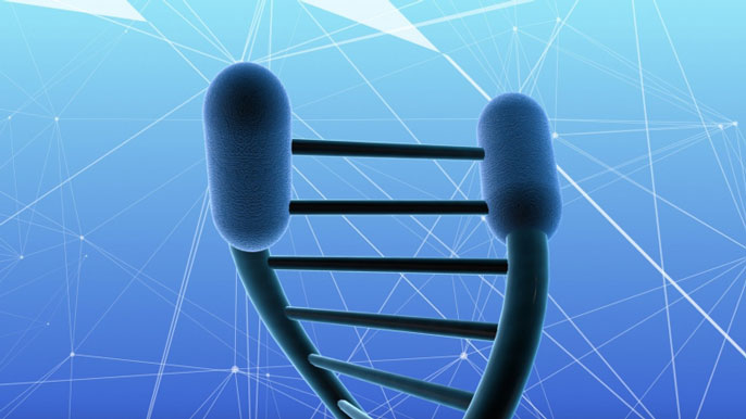 telomeres illustration